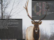 Xfce Xubuntu 15.04